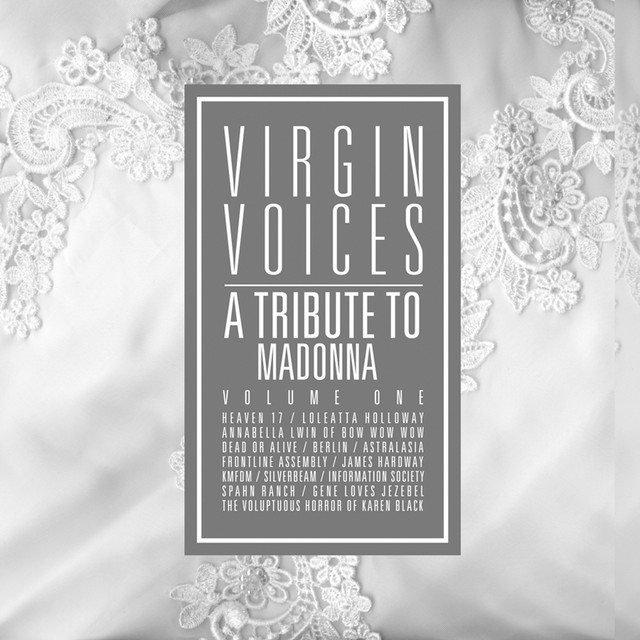 Albumcover von "Virgin Voices"